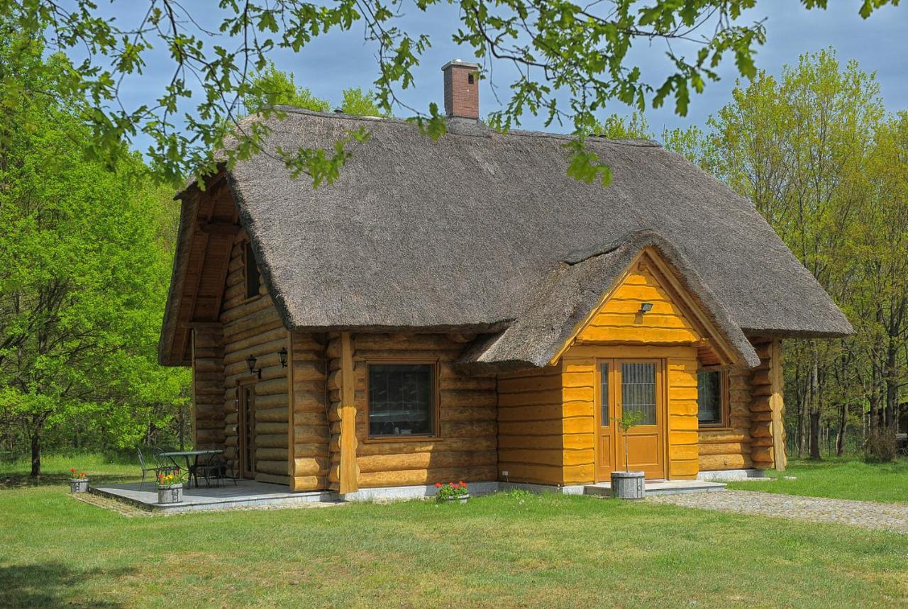 Dom Pod Sosnami Villa Gryzyna Bagian luar foto